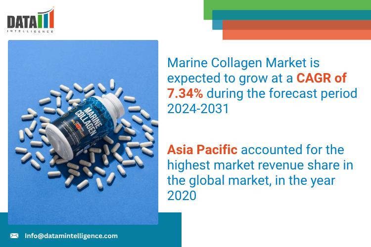 United States Marine Collagen Market 2025: Industry Developments, Future Growth, Share & Industry Insights | Bega Bionutrients, Seagarden AS, and Gelita AG