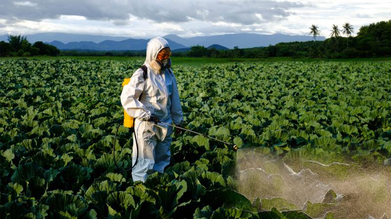 United States Triazole Fungicides Industry 2025: Trends, Forecast & Top Companies Dominating - BASF, Chemtura Corporation, Corteva, Inc., Cheminova, Bayer Cropscience