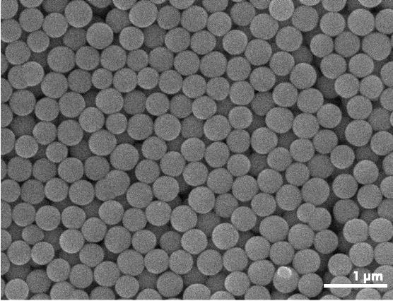 Polymer Colloids Market is projected to reach the value of USD 175.13 Million by 2030
