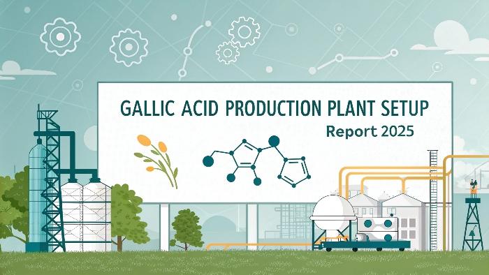Gallic Acid Production Plant Report 2025: Raw Materials Requirement and Cost Involved