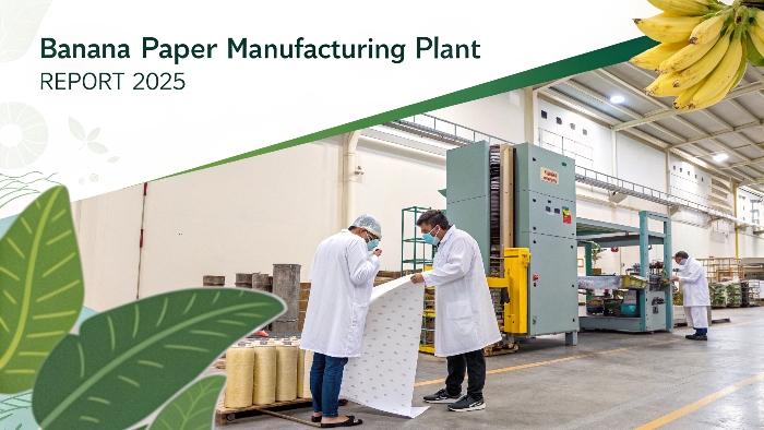 How to Start a Banana Paper Manufacturing Plant: What's the Cost?