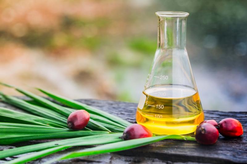 Indonesia Palm Oil Market Size, Price Trends, Top Companies Share, Industry Outlook & Research Report by 2033