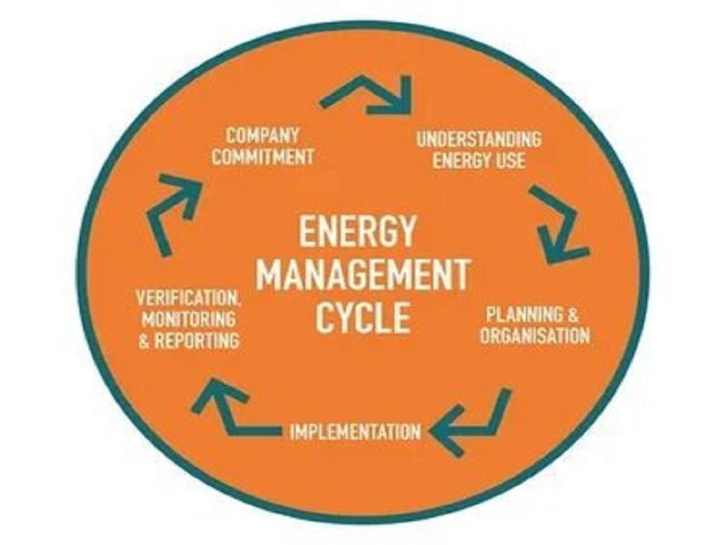 Energy Management Systems Market Growth Forecast 2024 to 2031 Driven by Smart Infrastructure Advancements