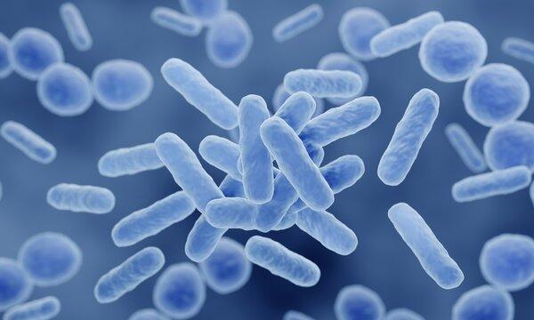 probiotics Market : A Complete Guide for Investors and Researchers