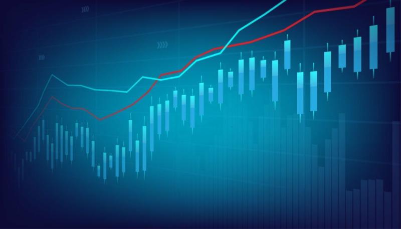Silicon Fertilizer Market Trends and Analysis - Opportunities and Challenges for Future Growth (2025 - 2032)