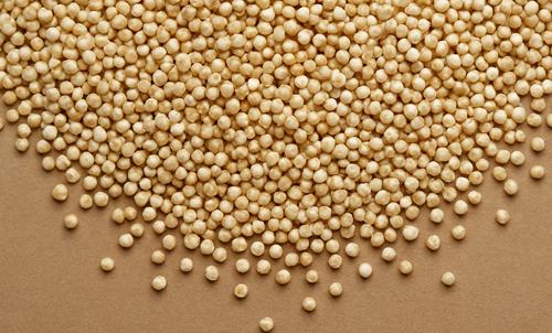 Organic Quinoa Seeds Market Hits New High | Major Giants Nutiva,Alter Eco,True Elements