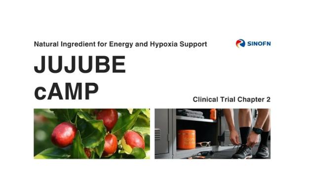 Clinical Trial Insights on Jujube cAMP Extract | Chapter 3