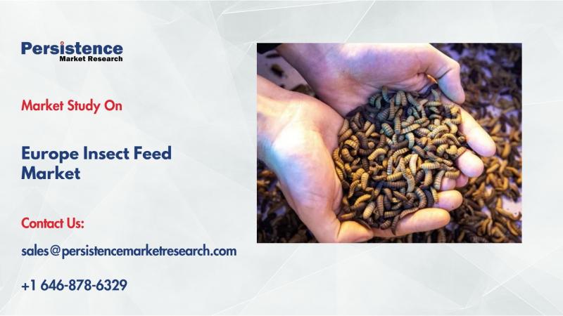 European Insect Feed Market Valued at US$536.9 Mn in 2025 Driven by Sustainable Protein Demand