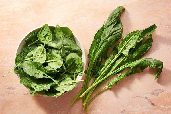 Vegetable Rennet Market to Get a New Boost | BASF, Vande Mark, Azeils