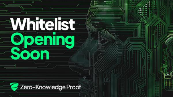 Why Zero Knowledge Proof (ZKP)'s Whitelist Isn't for Buyers-It's for Builders of Long-Term Credibility