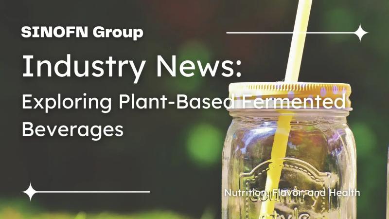 Plant‐Based Fermented Beverages: Nutrition, Flavor, Health Benefits