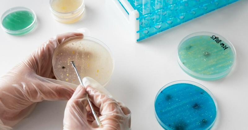 Septicemia Diagnostic Testing Market Outlook: Rapid PCR, Biosensors, and Point-of-Care Solutions | Top Players are Diasorin, Abbott, F. Hoffmann-LA Roche Ltd.