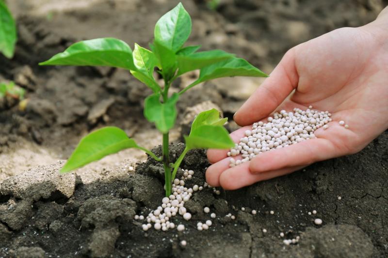 United States Nitrogenous Fertilizer Market Set to Surge: Innovations and Sustainability Driving Growth Through 2031 | Major key players - Yara International ASA, Nutrien Inc., Koch Industries Inc.