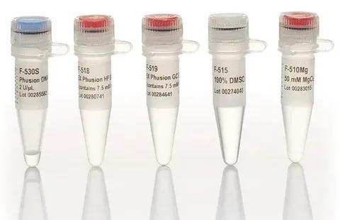 Global qPCR Reagents Market Poised for Expansion Amid Rising Biotechnology Applications | Affymetrix Inc, Promega Corporation, Quanta Biosciences Inc