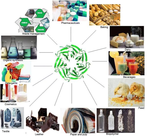 Industrial Enzymes Market to Witness Remarkable Growth by Novozymes, DSM, DuPont, BASF, AB Enzymes, Kerry Group