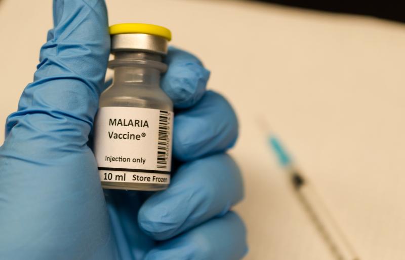 Pfizer's Phase 3 Success and GSK's Rollout Expansion Spark Momentum in the Global Malaria Vaccine Market