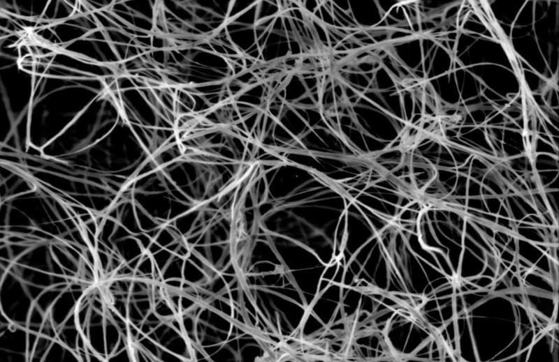 United States Cellulose NanoFibers Market Forecast 2024-2031: High-Strength Bio-Based Materials Revolutionizing Industrial Manufacturing | GEA Group, Nippon Paper Group, OJI Holdings