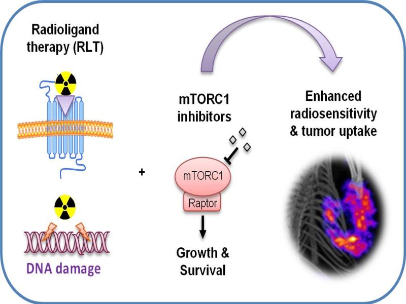 United States Radioligand Therapy industry Revolutionizing Prostate Cancer Treatment | Technology Advancements and Innovation 2025