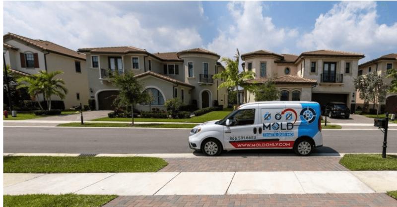 South Florida Mold Remediation: Why Residents Continually Choose Mold Onlyop