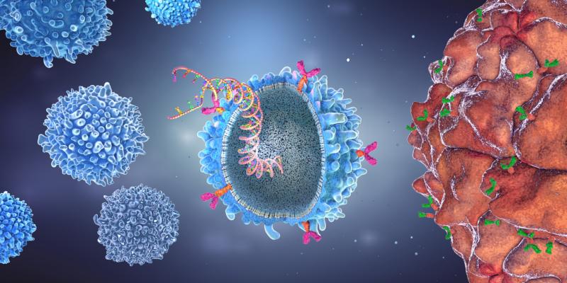 CAR-T, Monoclonal Antibodies, and ADCs Revolutionize the CD Antigen Cancer Therapy Market | Top Companies are Seattle Genetics Inc, АrуоGеn Віорhаrmа, Віосаd
