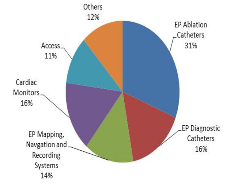 United States Electrophysiology Industry Transforming to AI & Robotics | Market Trends and Future Prospects 2025-2033