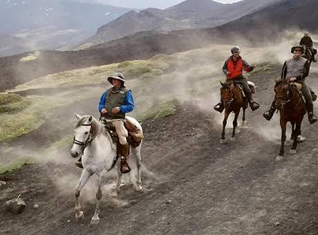 Explore the Magic of Horse Riding Holidays Around the World