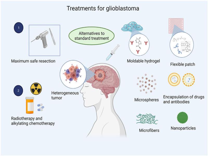 United States Glioblastoma Treatment Market Trends: Opportunities in Targeted Therapy, Immunotherapy & Precision Medicine By 2031 | Leading Companies -Genentech, Amgen, Merck & Co., Inc., Teva Pharmaceutical Industries, Ltd., Arbor Pharmaceuticals LLC,