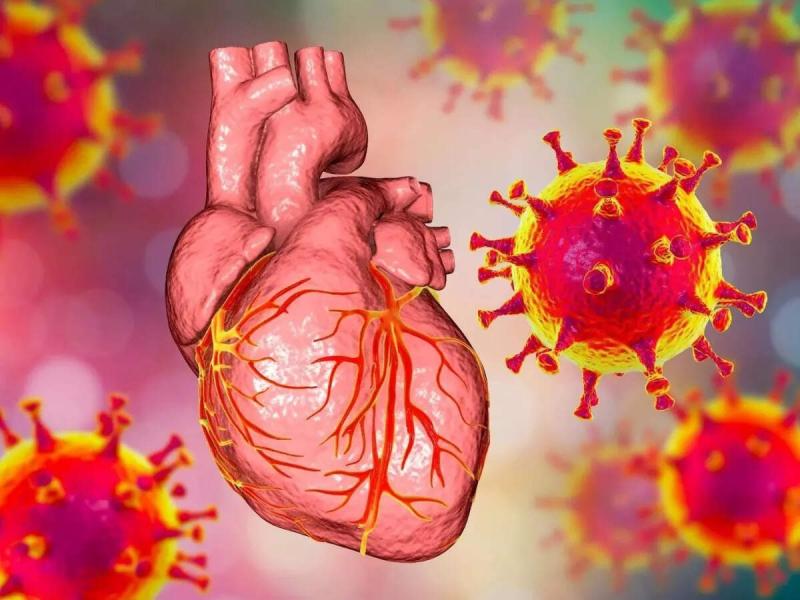 United States Cardiac Troponin Market 2025: Industry Developments, Growth Trends & Leading Players | Abbott Laboratories, Roche Diagnostics, Siemens Healthineers, Beckman Coulter, Thermo Fisher