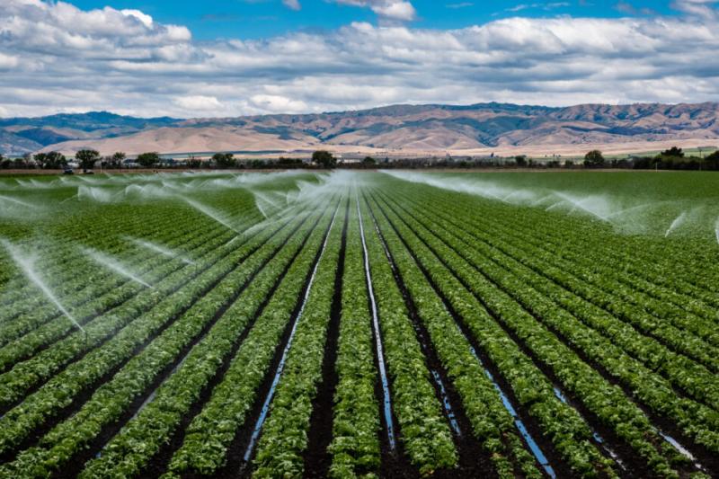 United States Low-Carbon Agriculture Market is expected to reach US$ 1,719.02 million by 2032 | Major key players - Yara International, BASF SE, Bayer AG.