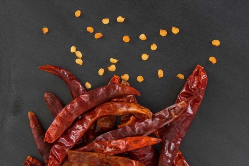 Chili Seeds Market to See Major Growth by 2032 | RIDGID Tools, Wurth, Apex Tool Group