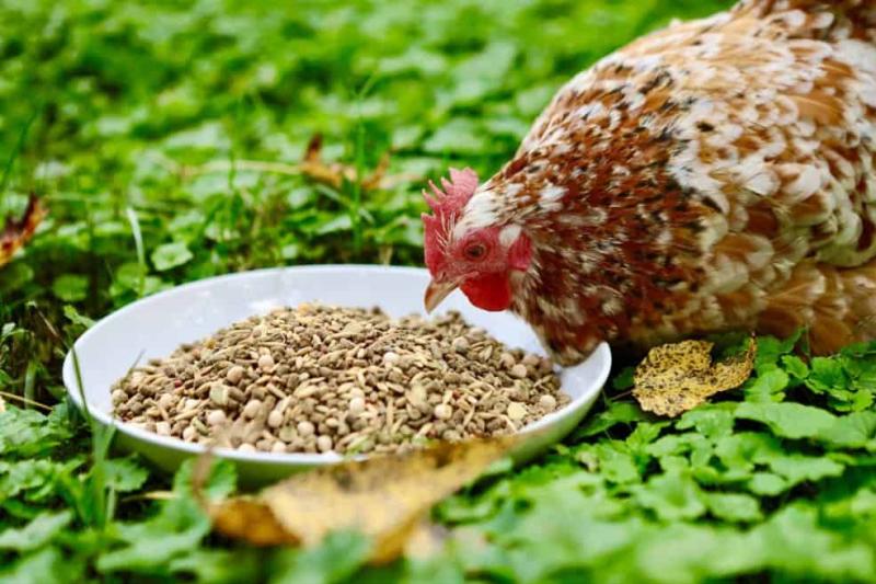 The Global Flax Seeds for Animal Feed Market is projected to reach a market size of USD 1,751.11 Million by the end of 2030
