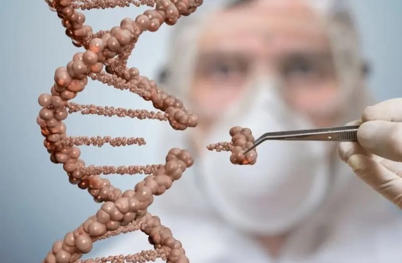 Precision Medicine Research Market May See Big Move | Major Giants Roche, Novartis, Pfizer