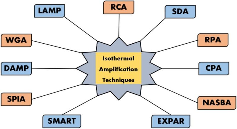 U.S Isothermal Nucleic Acid Amplification Technology Market 2025: Industry Developments, Future Trends & Growth Insights | Abbott Laboratories, Thermo Fisher Scientific, Bio-Rad Laboratories, Eiken Chemical Co., Lucira Health