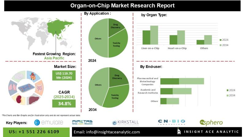 Organ-on-Chip Market Current Scenario with Future Aspect Analysis