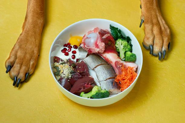 Raw Pet Food Market : A Look at the Industry's Growth and Future Prospects