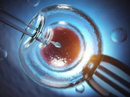 U.S In Vitro Fertilization Devices and Consumables Market Outlook 2025: Key Trends, Innovation & Leading Players | Merck KGaA, Genea Biomedx, Fertility Focus, Esco Micro, Kitazato Corporation