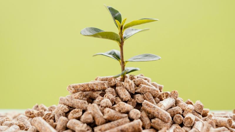United States Feed Phosphate Market: Advancements in Livestock & Poultry Nutrition | Global Players - Guizhou Chanhen Chemical Corporation Yara, Phosphea, Fosfitalia Group, EuroChem Group, Aashi Chem, J.R