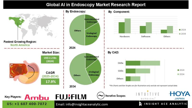AI in Endoscopy Market Opportunities Supported by Cloud Hybrid and On-Premises Technology Integration