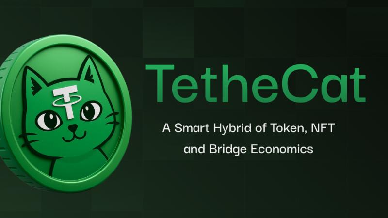 TetheCat: Tether's New Frontier in Blockchain Innovation