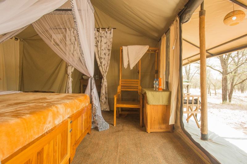 Explore nature beauty through affordable safaris