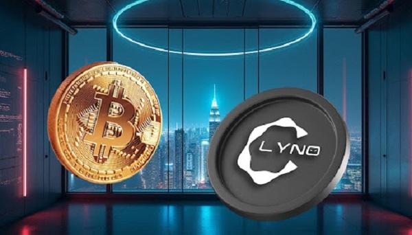 Shiba Inu (SHIB) Forecast for November: DOGE to $0.30 While Lyno