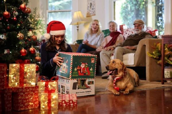 Birdfy Is Going to Launch an Exciting Christmas Event: The Ultimate Christmas Gift for Nature Lovers