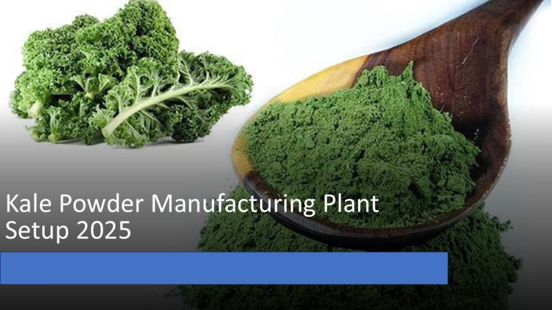 Kale Powder Manufacturing Plant Setup 2025: Industry Trends, Machinery and Cost Breakdown