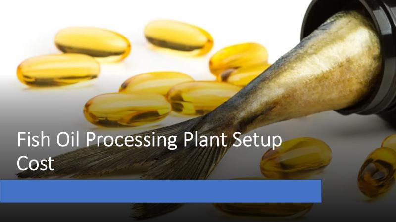 Fish Oil Processing Plant Setup Cost 2025: Project Details, Capital Investments, and Business Plan