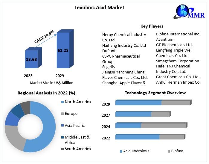 Levulinic Acid Market to Reach USD 62.23 Million by 2029, Growing at 14.8% CAGR | Rising Demand for Bio-Based Chemicals Driving Growth