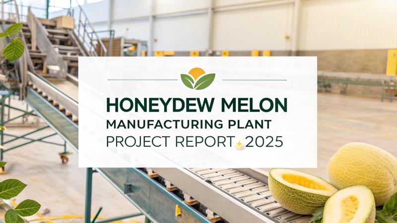 Honeydew Melon Manufacturing Plant Setup 2025: Detailed Project Report, Raw Materials, and Cost Involved