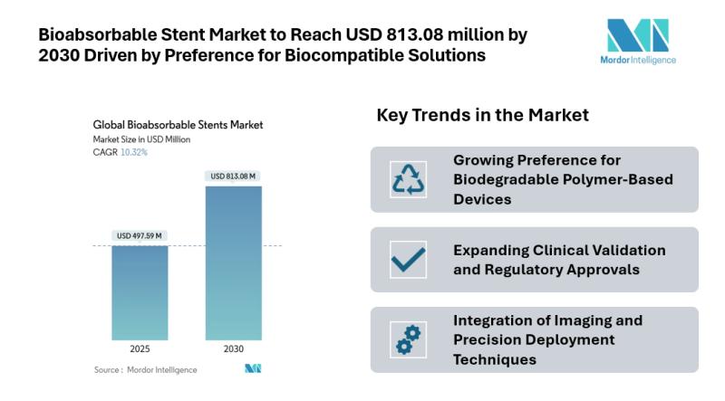 Bioabsorbable Stent Market to Reach USD 813.08 million by 2030 Driven by Rising Cardiovascular Interventions and Preference for Biocompatible Solutions