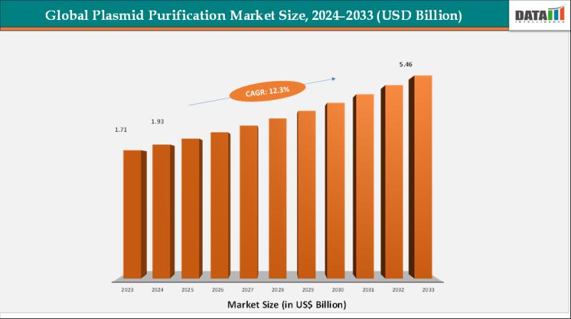 United States Plasmid Purification Market 2025: Industry Developments, Future Growth, Share & Industry Insights | Promega Corporation, Zymo Research Corporation, MP BIOMEDICALS, New England Biolabs