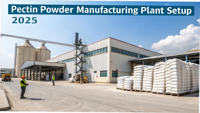 Pectin Powder Manufacturing Plant Setup | Project Report 2025, Machinery Cost and Business Plan