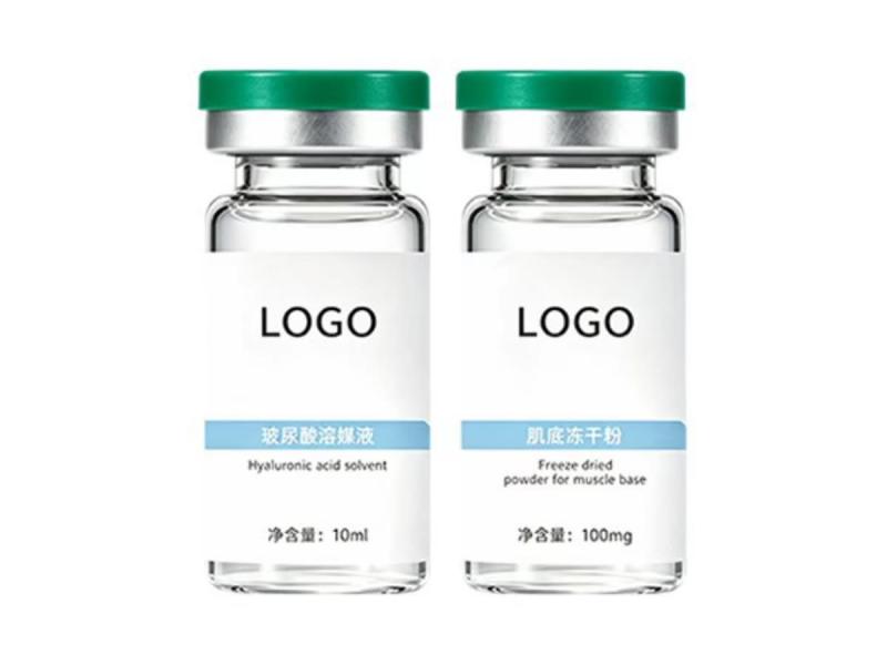 Navigating Aesthetic Innovations with a China Top Lyophilization for Medical Aesthetics Supplier